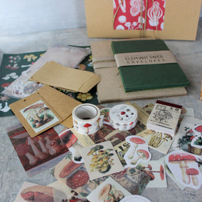 Fungi Papercraft Boxed Kit - Tribe Castlemaine