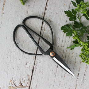 Garden Harvest Scissors - Tribe Castlemaine