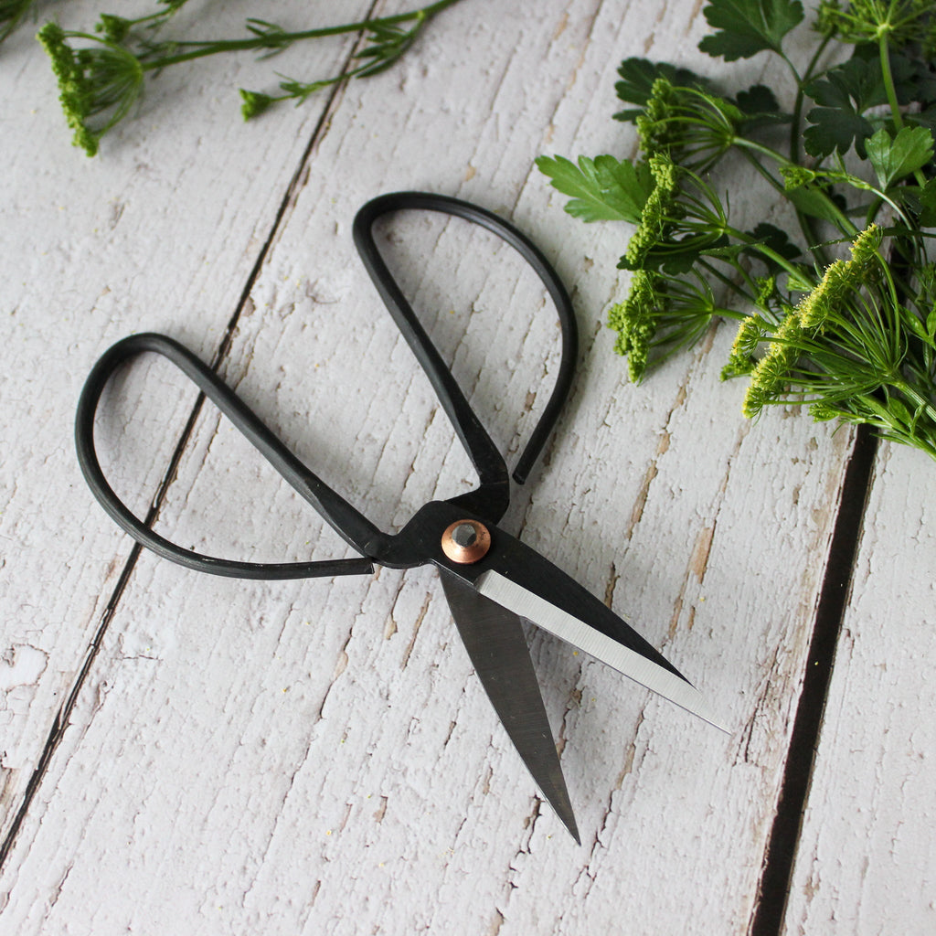 Garden Harvest Scissors - Tribe Castlemaine