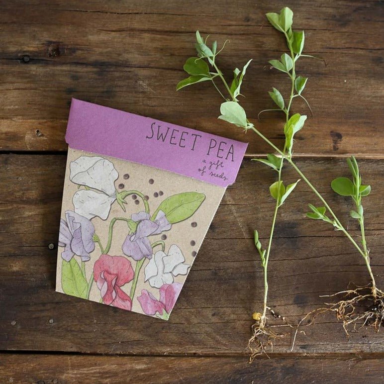Gift of Seeds : Flowers - Tribe Castlemaine