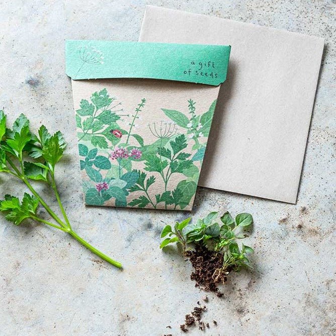Gift of Seeds : Garden Herbs - Tribe Castlemaine
