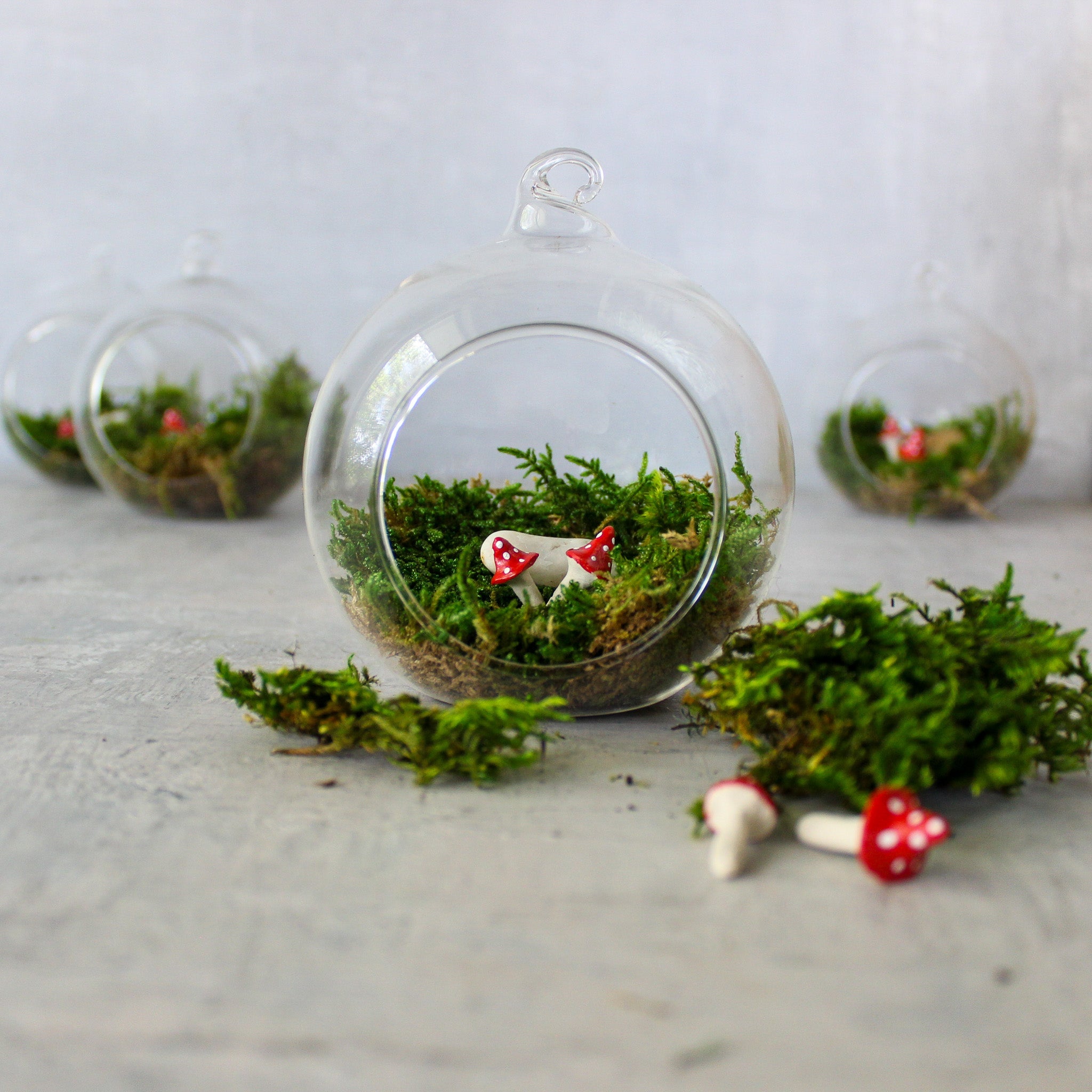 Glass Bauble Toadstool Terrarium - Tribe Castlemaine