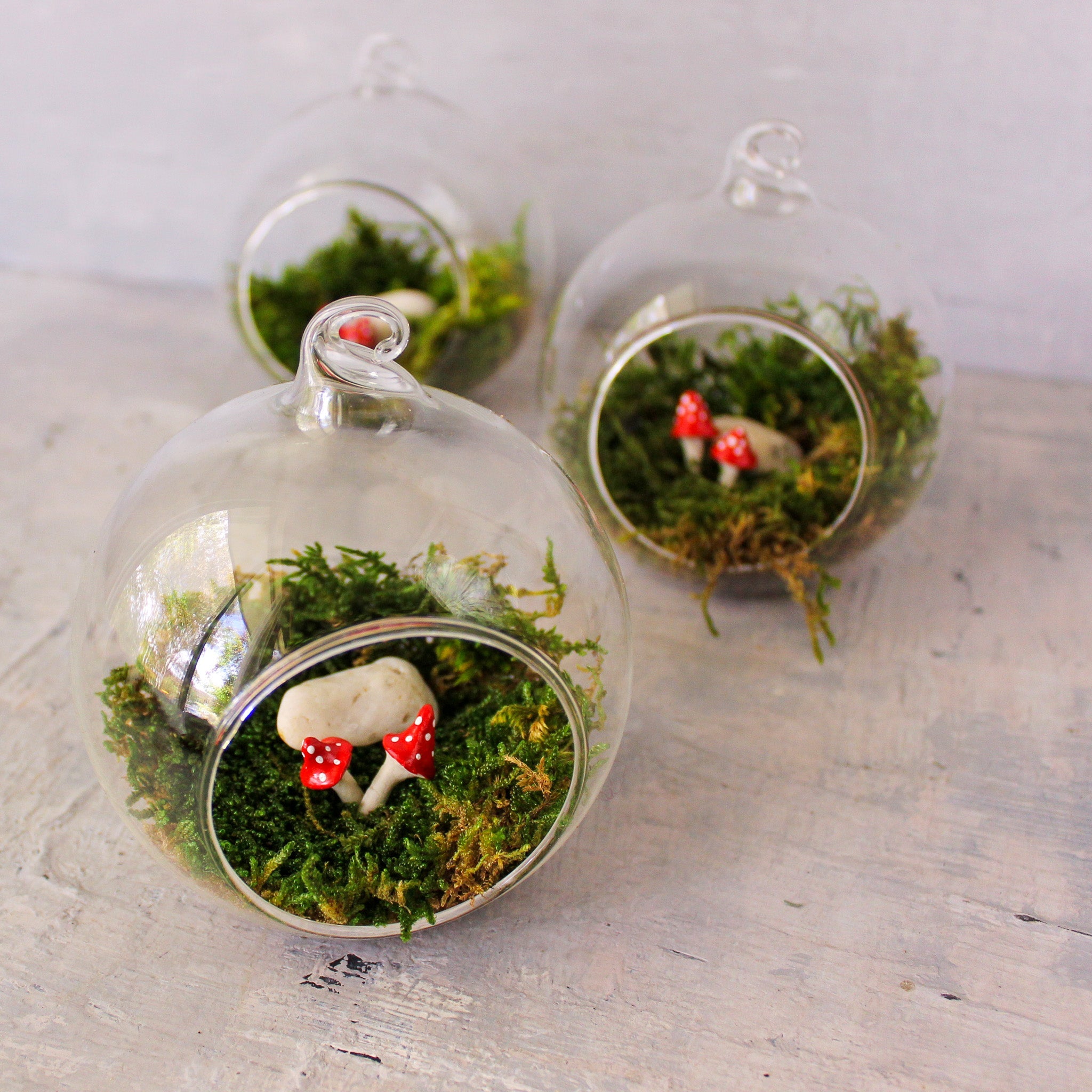 Glass Bauble Toadstool Terrarium - Tribe Castlemaine