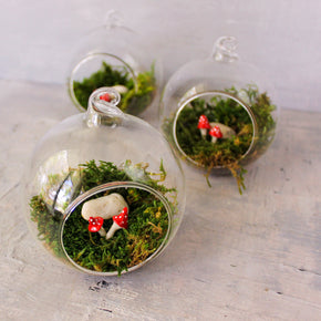 Glass Bauble Toadstool Terrarium - Tribe Castlemaine