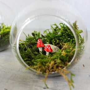 Glass Bauble Toadstool Terrarium - Tribe Castlemaine