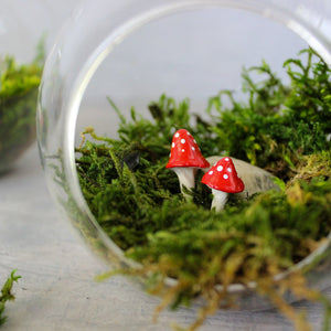 Glass Bauble Toadstool Terrarium - Tribe Castlemaine