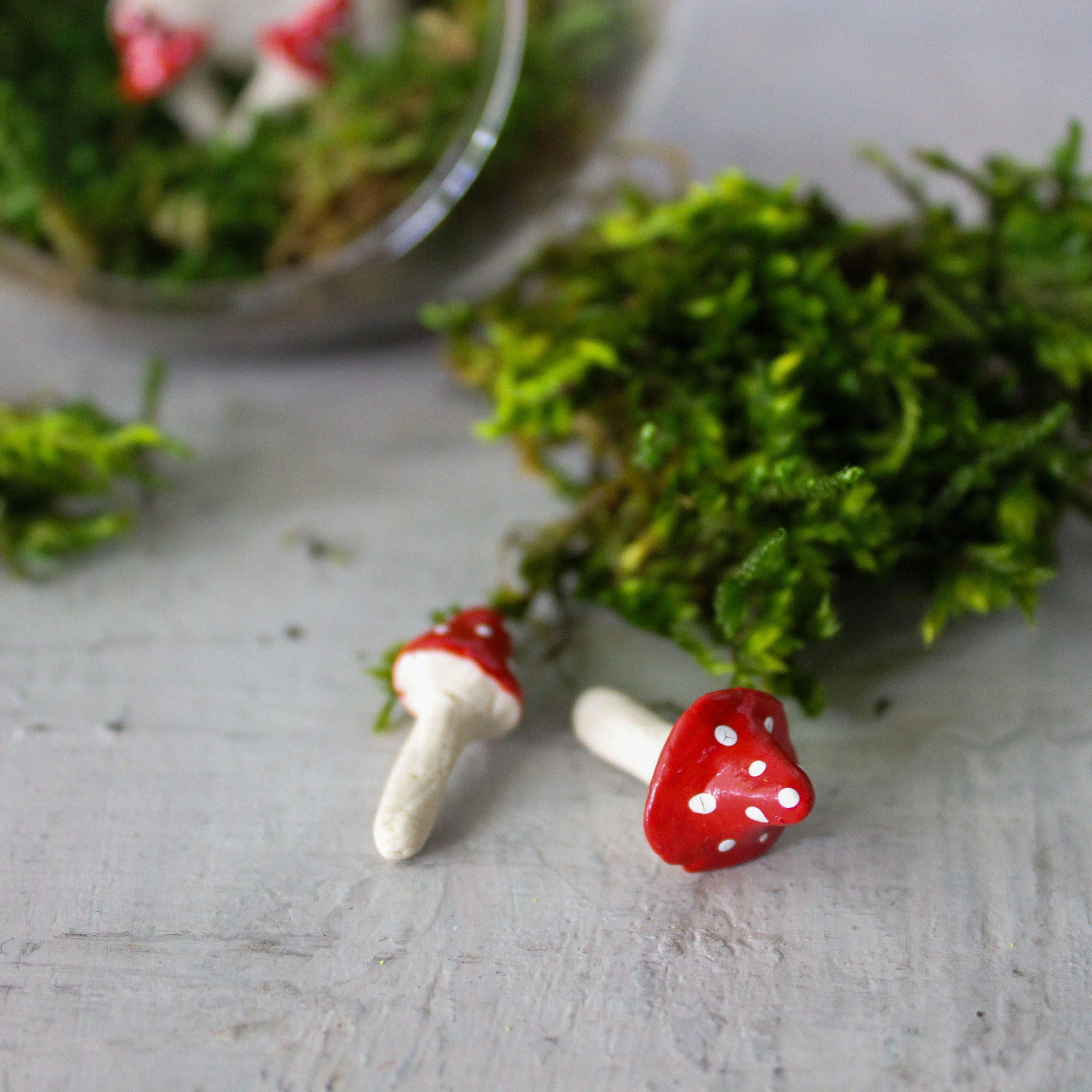 Glass Bauble Toadstool Terrarium - Tribe Castlemaine