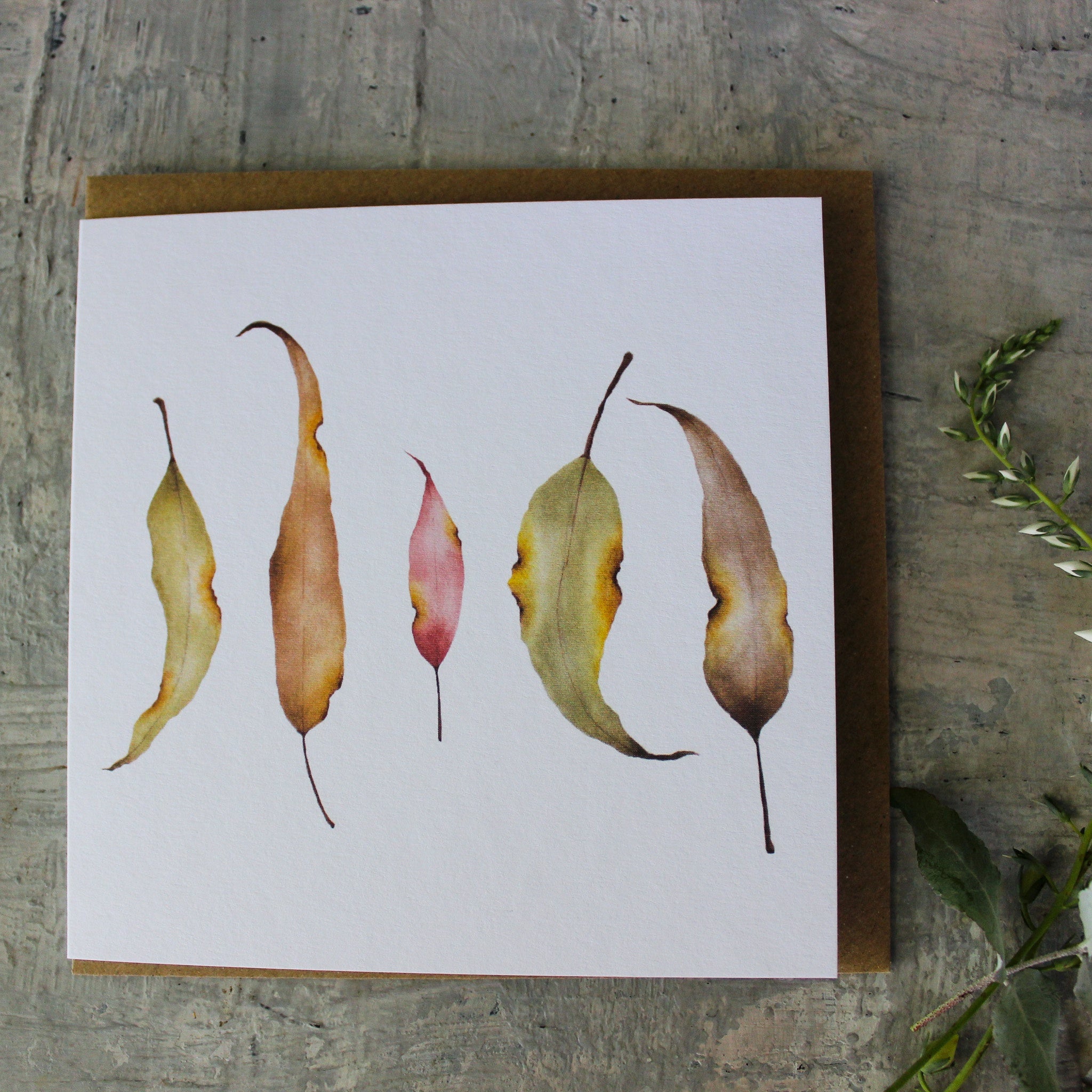 Gum Leaf Card by Forest & Fig - Tribe Castlemaine