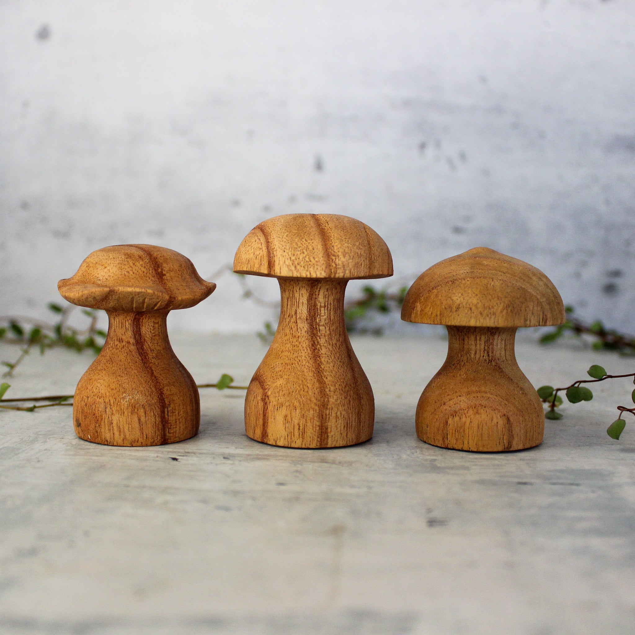 Hand Carved Wooden Toadstools - Tribe Castlemaine