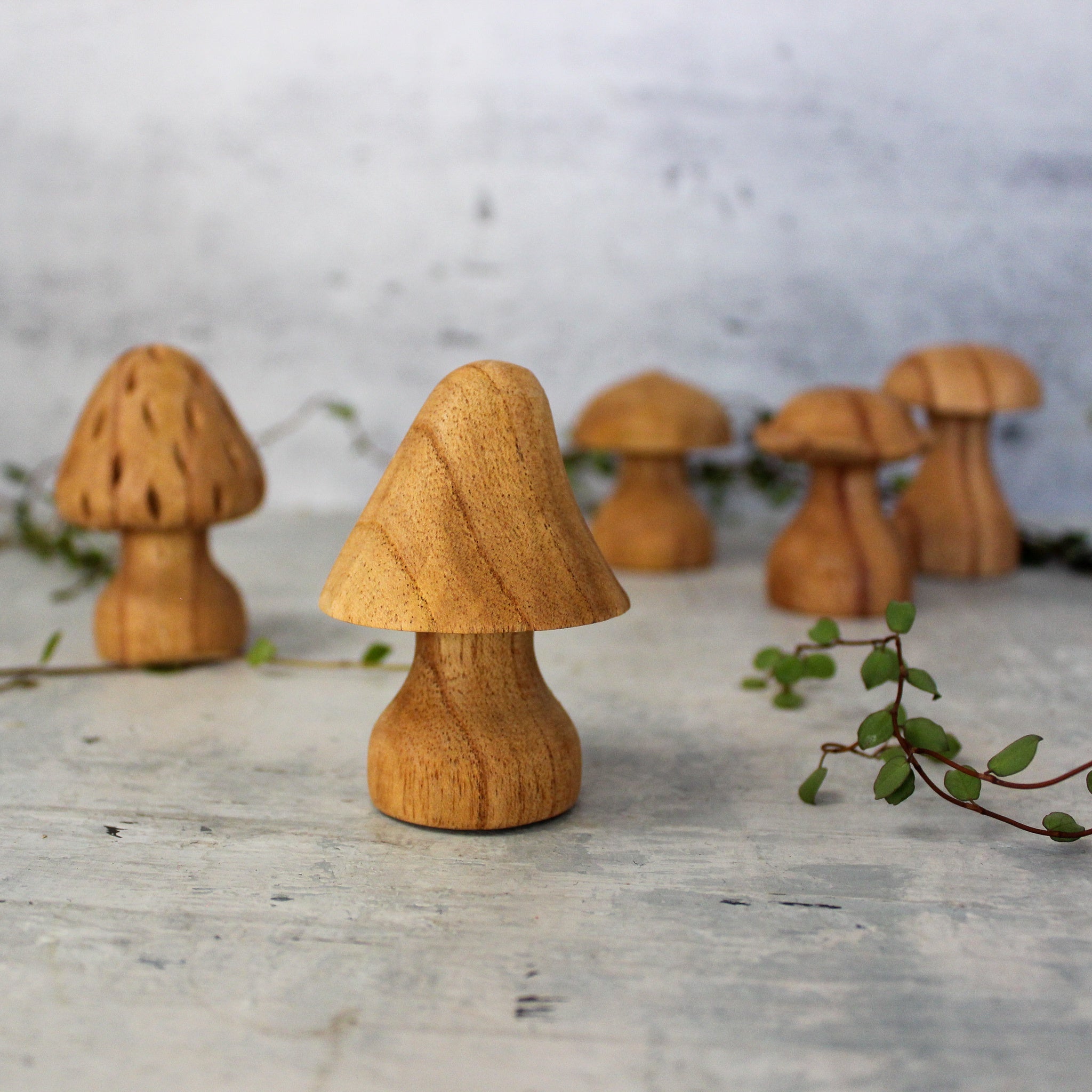 Hand Carved Wooden Toadstools - Tribe Castlemaine