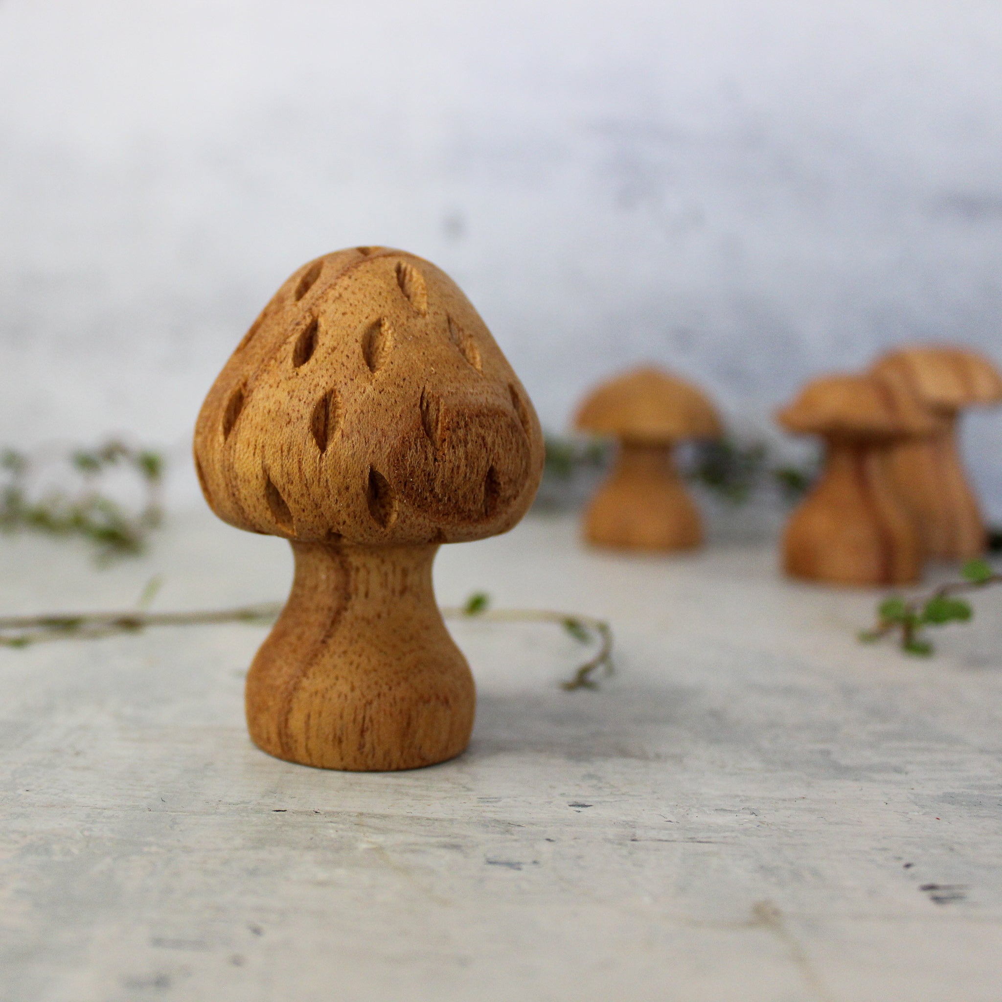 Hand Carved Wooden Toadstools - Tribe Castlemaine