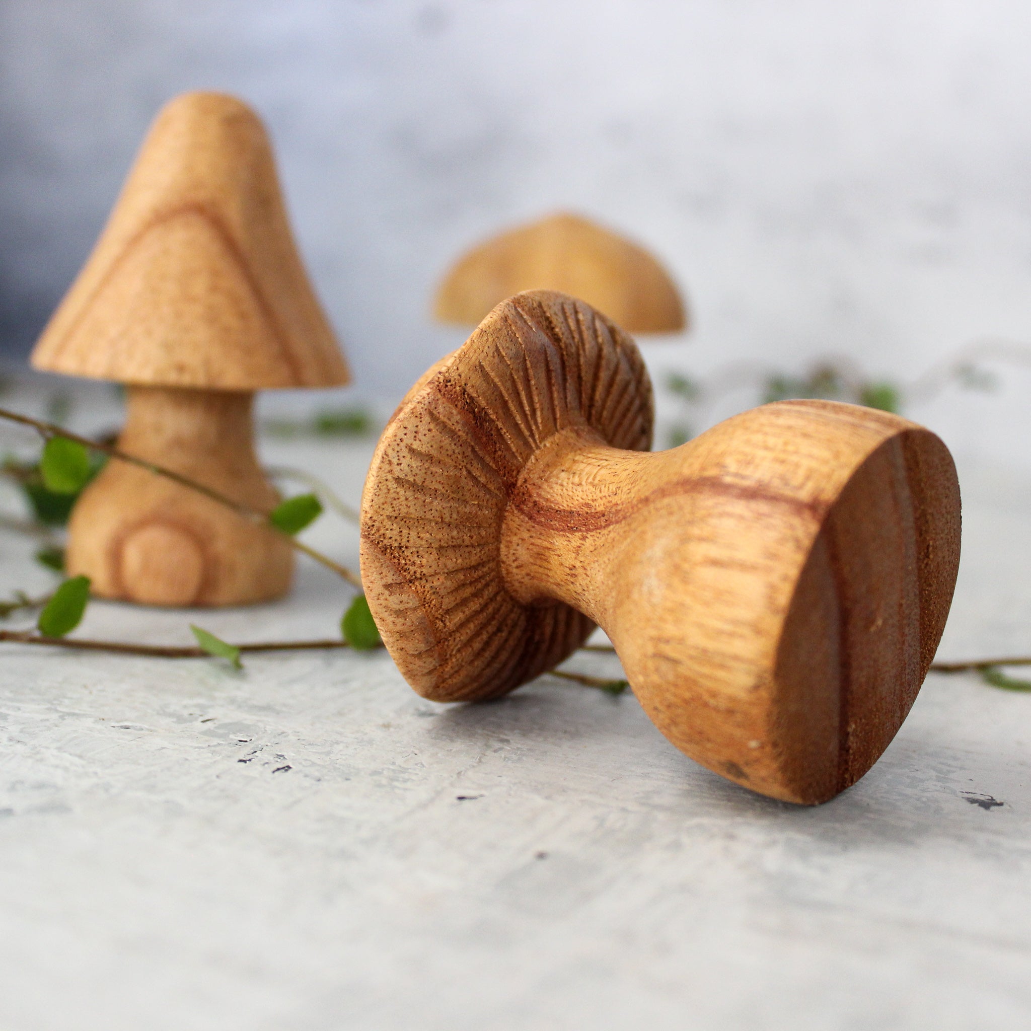 Hand Carved Wooden Toadstools - Tribe Castlemaine