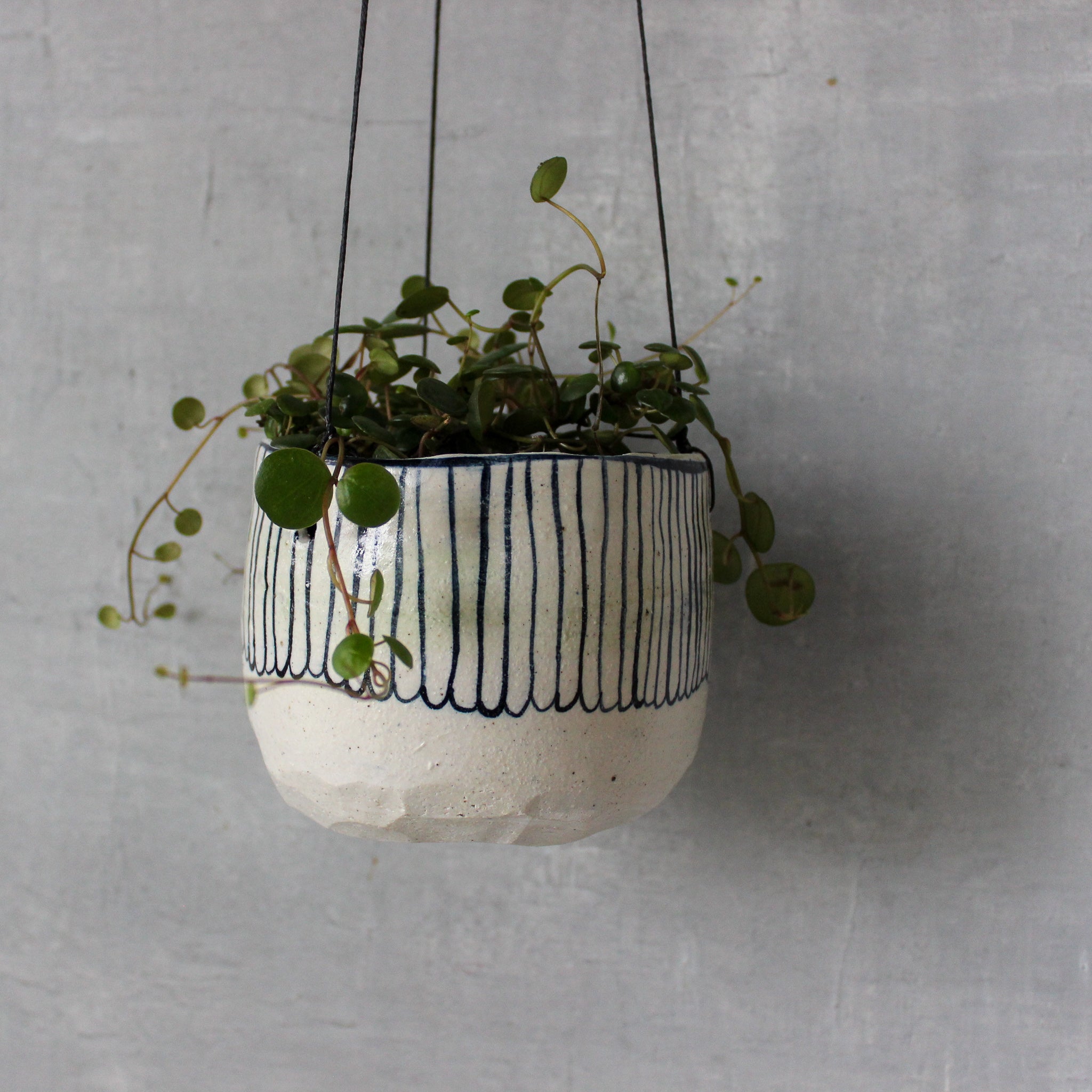 Hanging Ceramic Planters Blue Daisy - Tribe Castlemaine