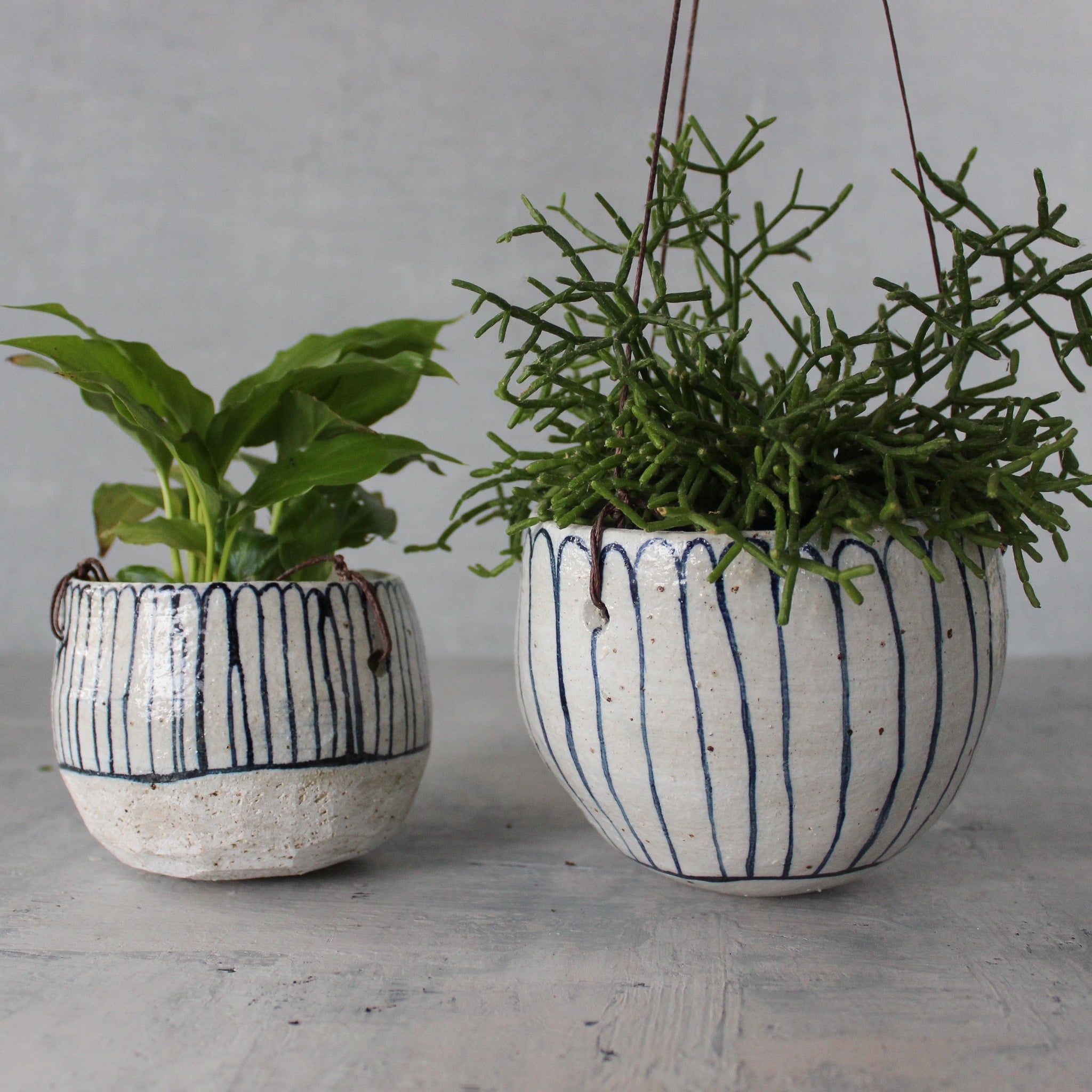 Hanging Ceramic Planters Blue Daisy - Tribe Castlemaine