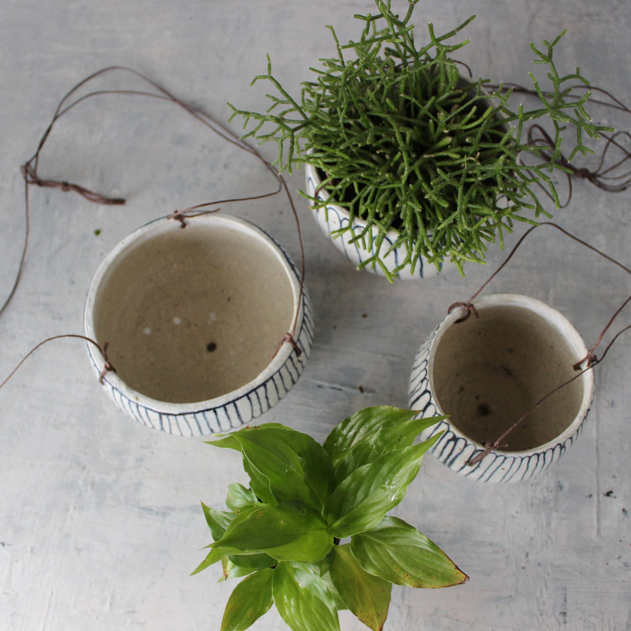 Hanging Ceramic Planters Blue Daisy - Tribe Castlemaine