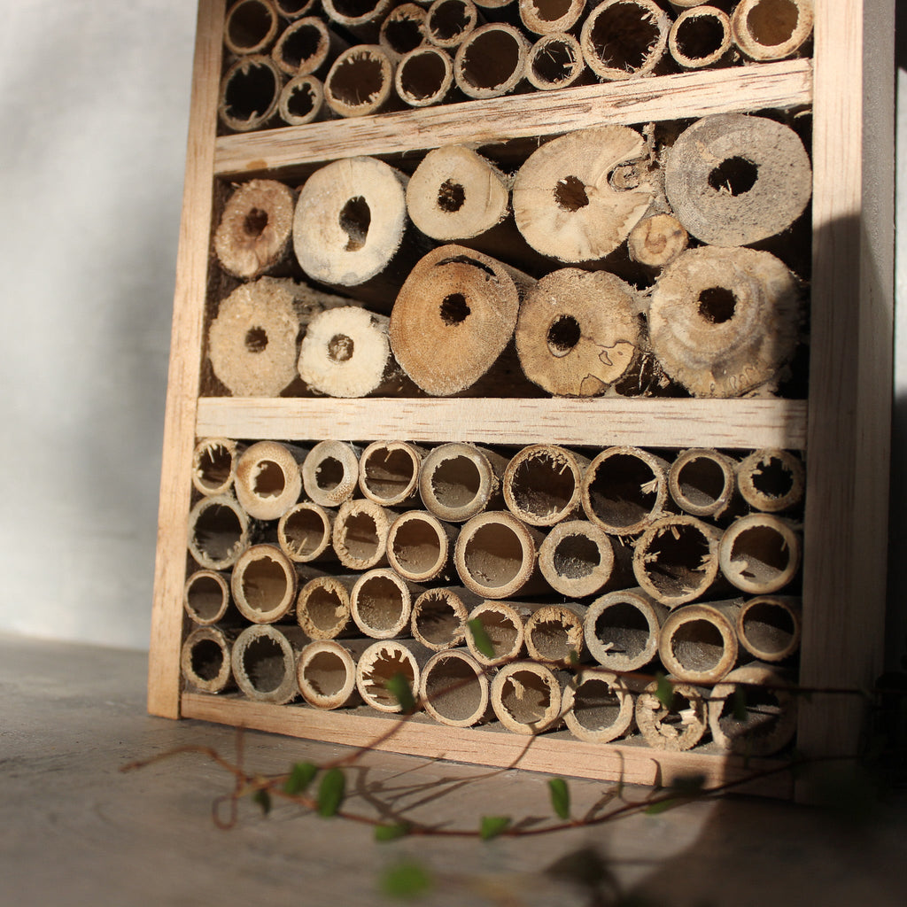 Insect House - Tribe Castlemaine