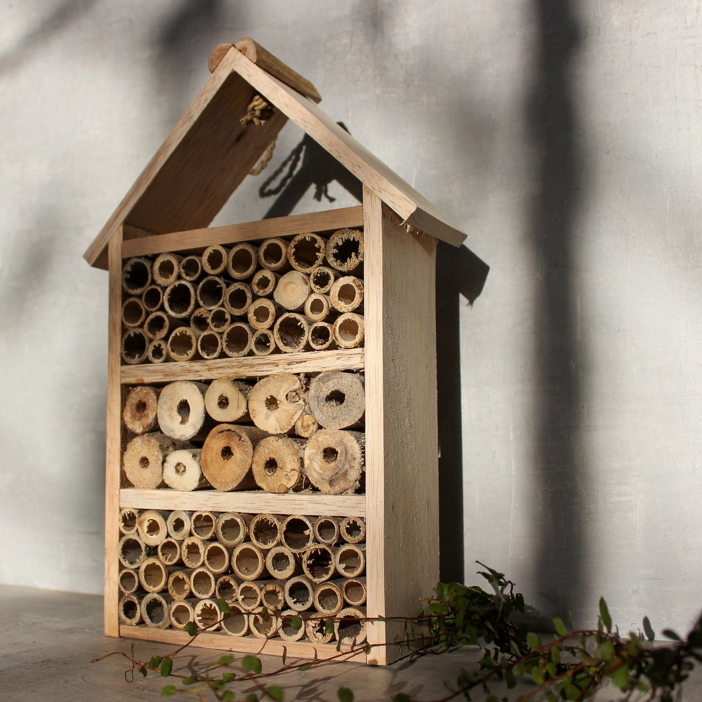 Insect House – Tribe Castlemaine