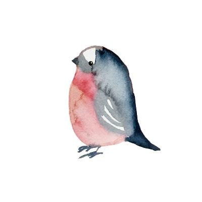 Jess Racklyeft Card Pink Wren - Tribe Castlemaine