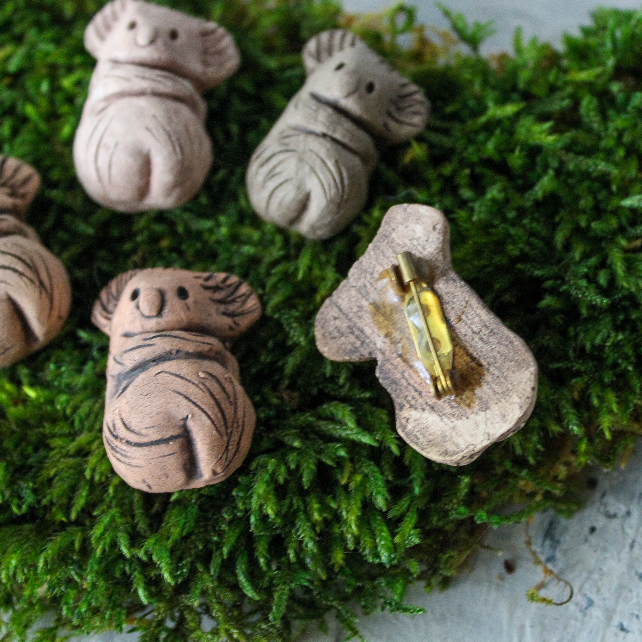 Koala Badge - Tribe Castlemaine
