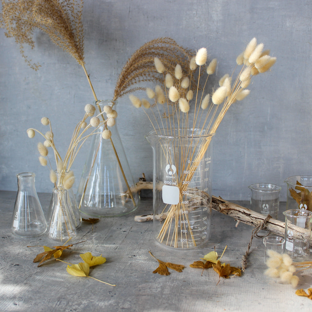 Lab Glassware : Beakers & Flasks - Tribe Castlemaine