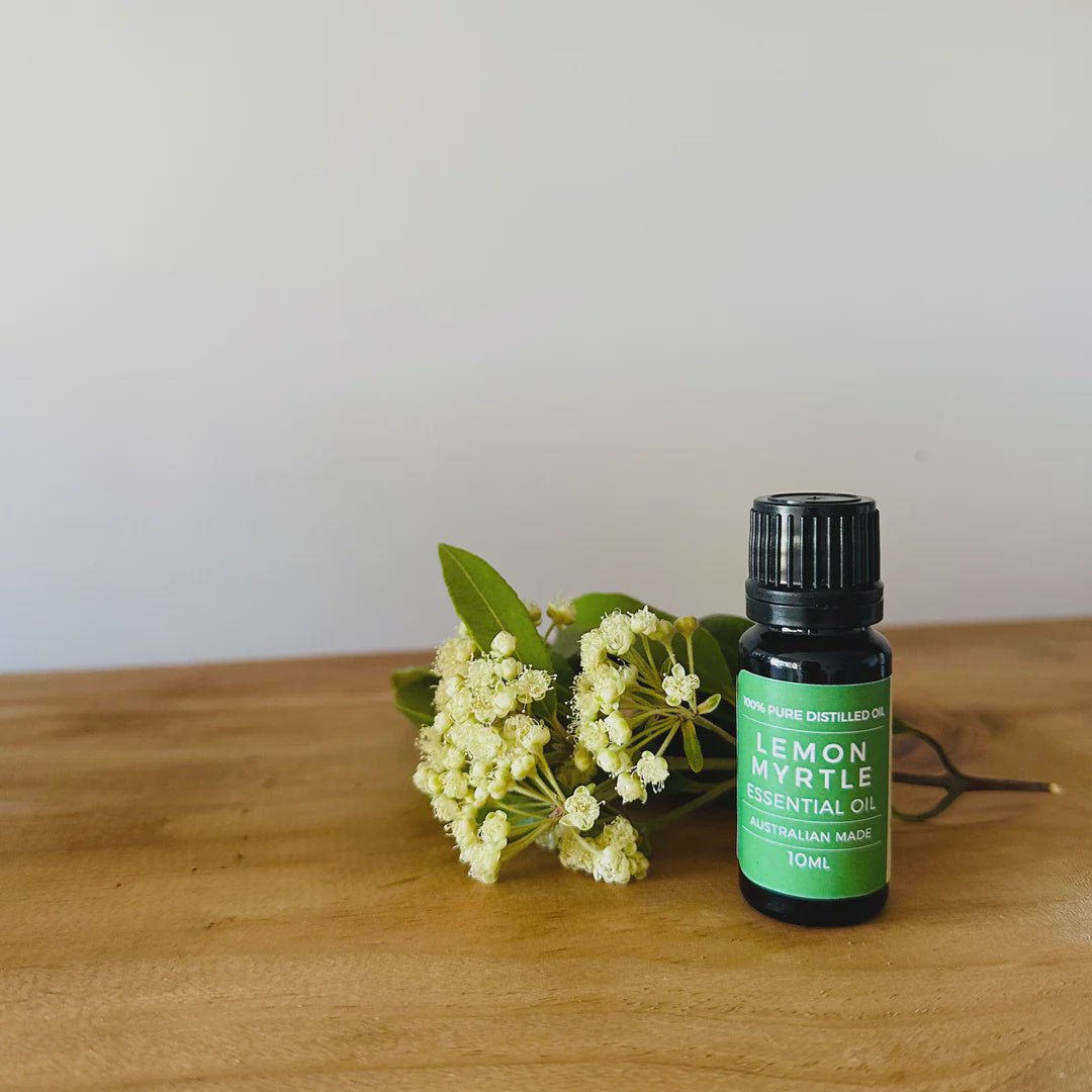 Lemon myrtle essential oil discount