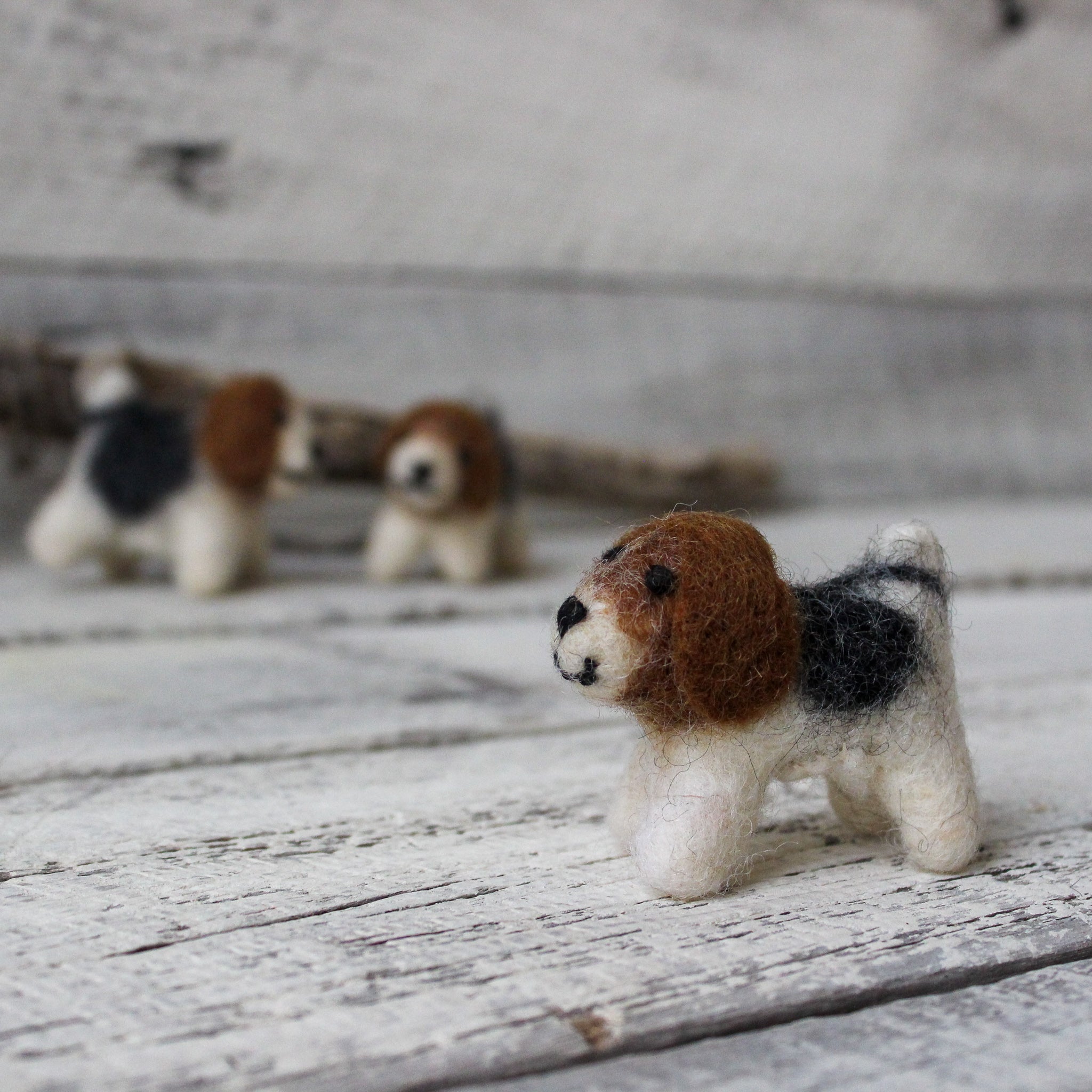 Little Felt Doggies - Tribe Castlemaine