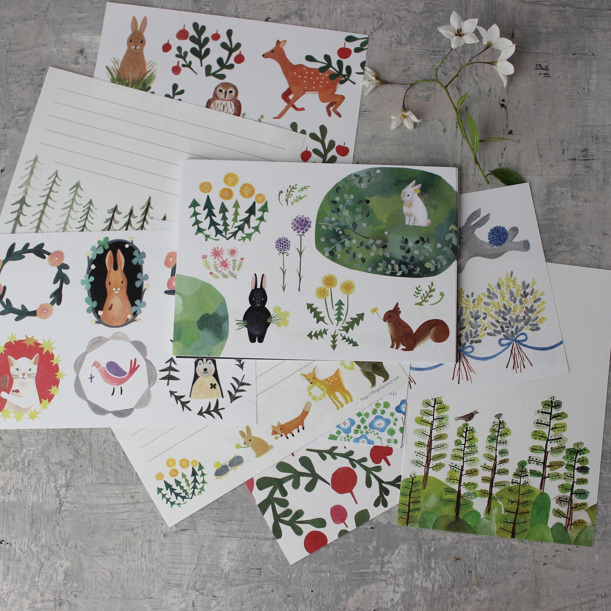 Little Nature Notelet Sets - Tribe Castlemaine