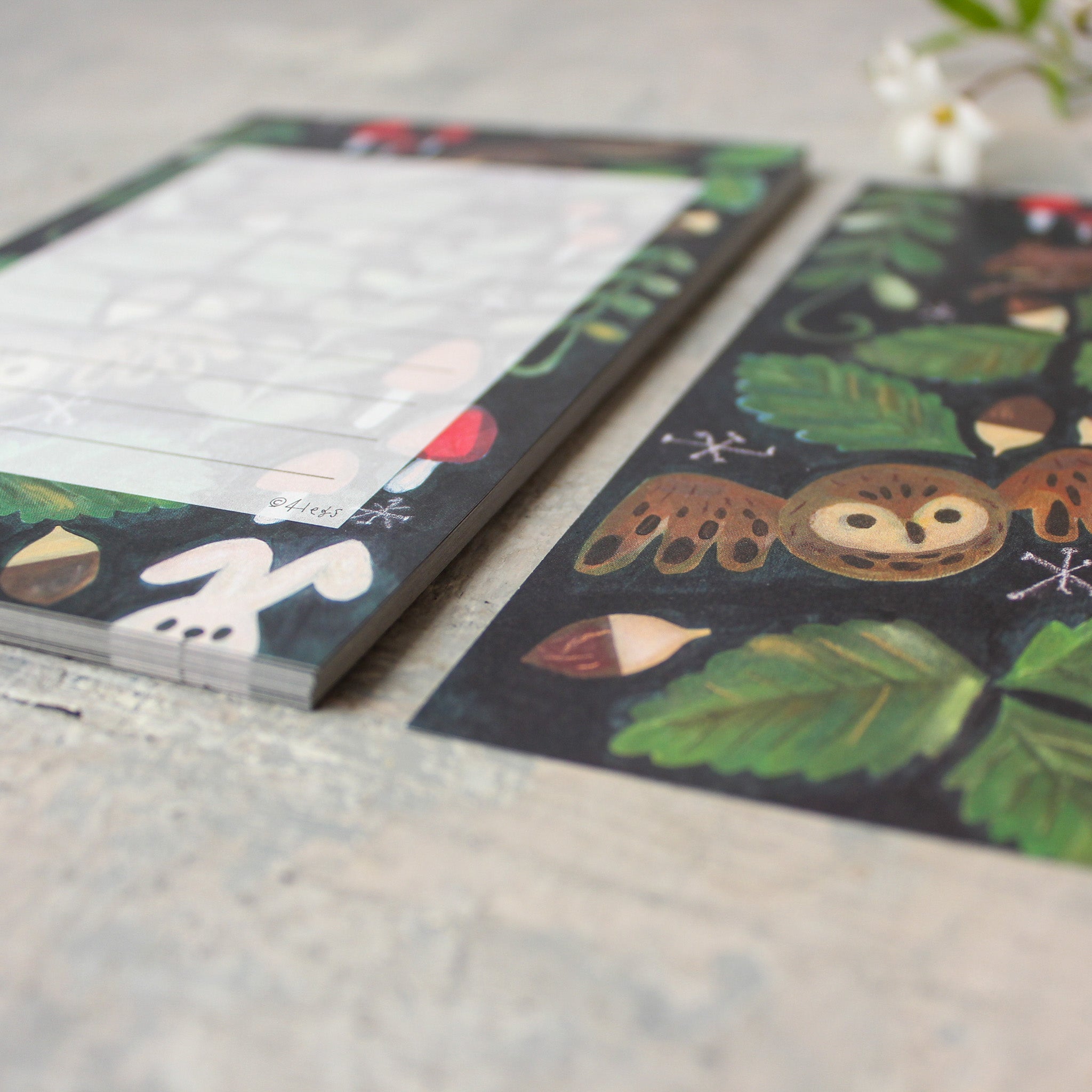 Little Nature Notelet Sets - Tribe Castlemaine