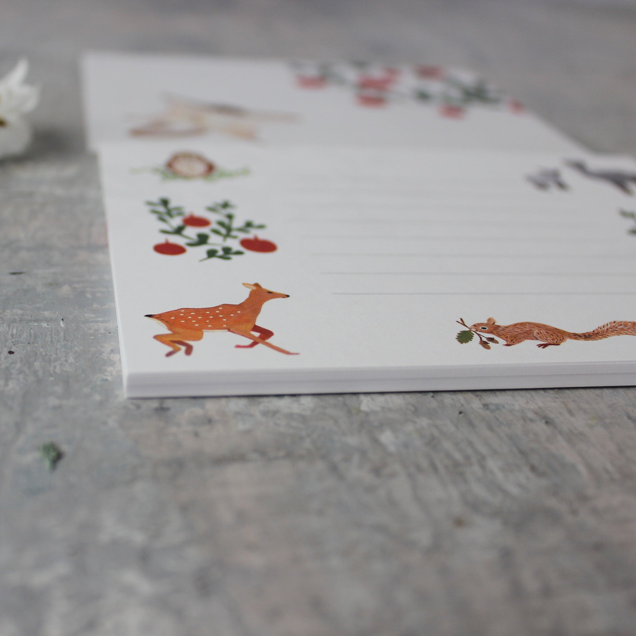 Little Nature Notelet Sets - Tribe Castlemaine