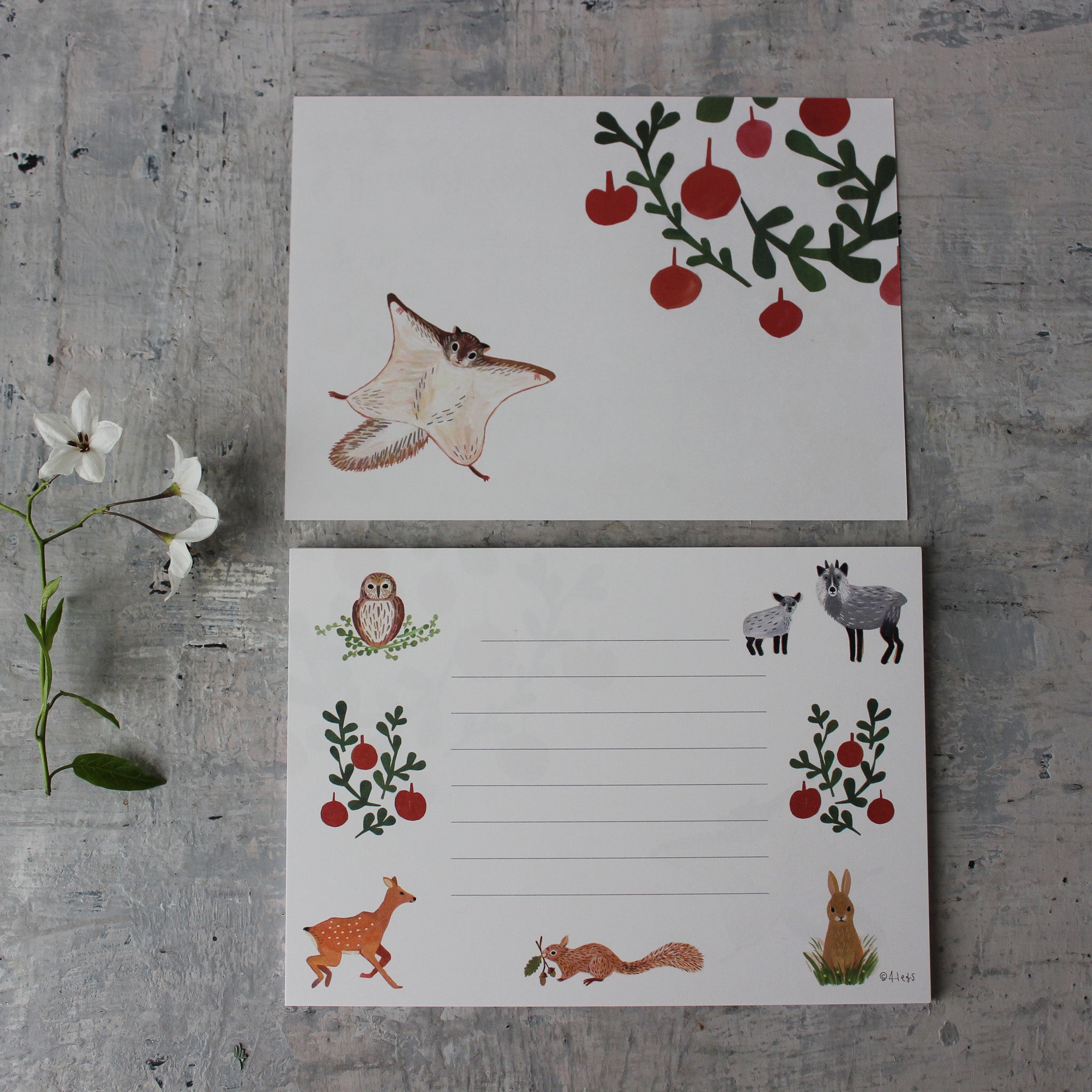 Little Nature Notelet Sets - Tribe Castlemaine