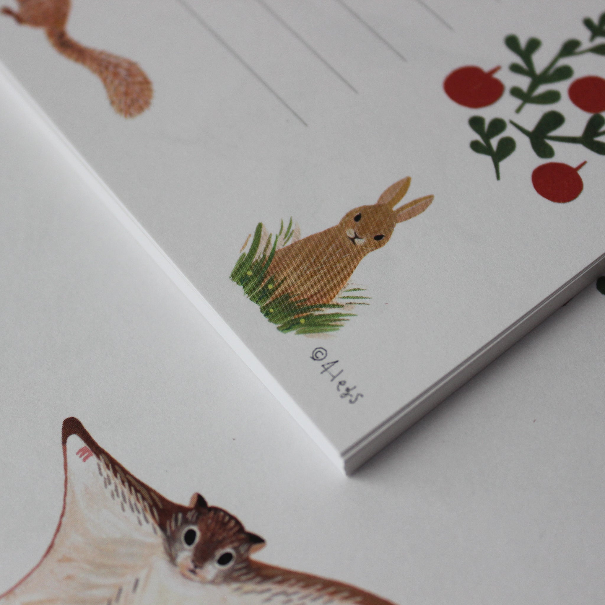 Little Nature Notelet Sets - Tribe Castlemaine