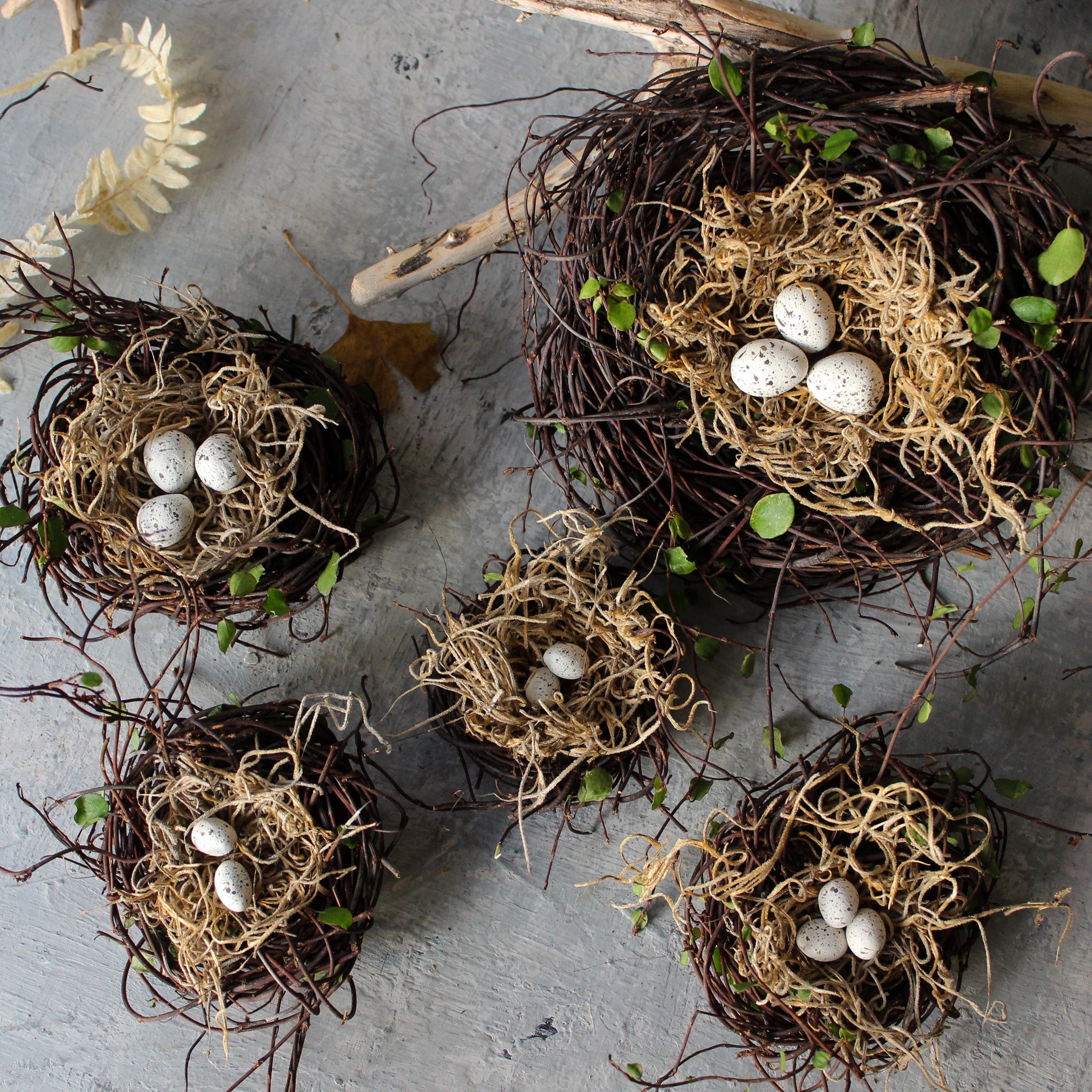 Little Nests & Eggs - Tribe Castlemaine