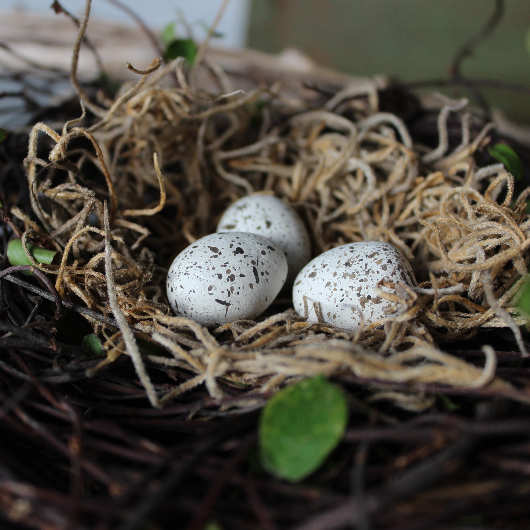 Little Nests & Eggs - Tribe Castlemaine