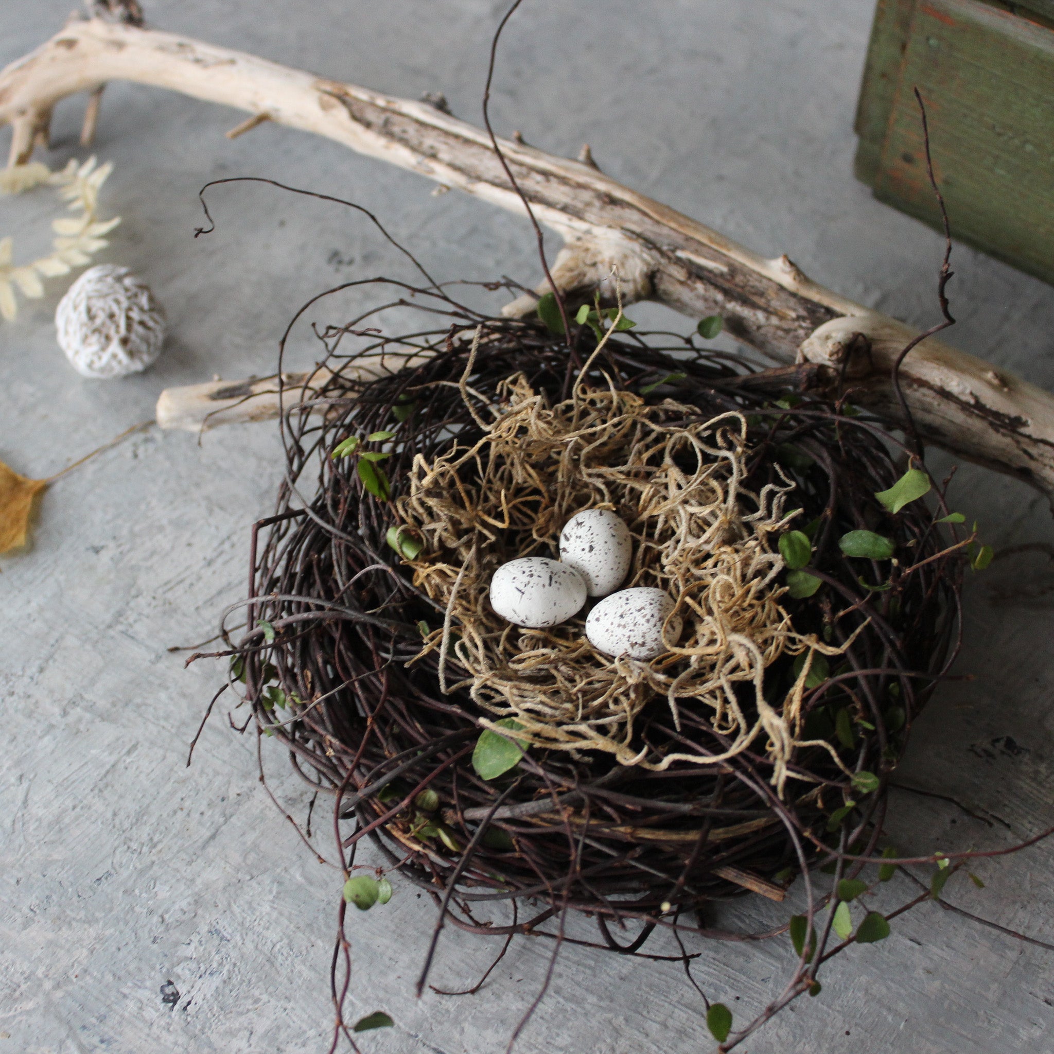 Little Nests & Eggs - Tribe Castlemaine