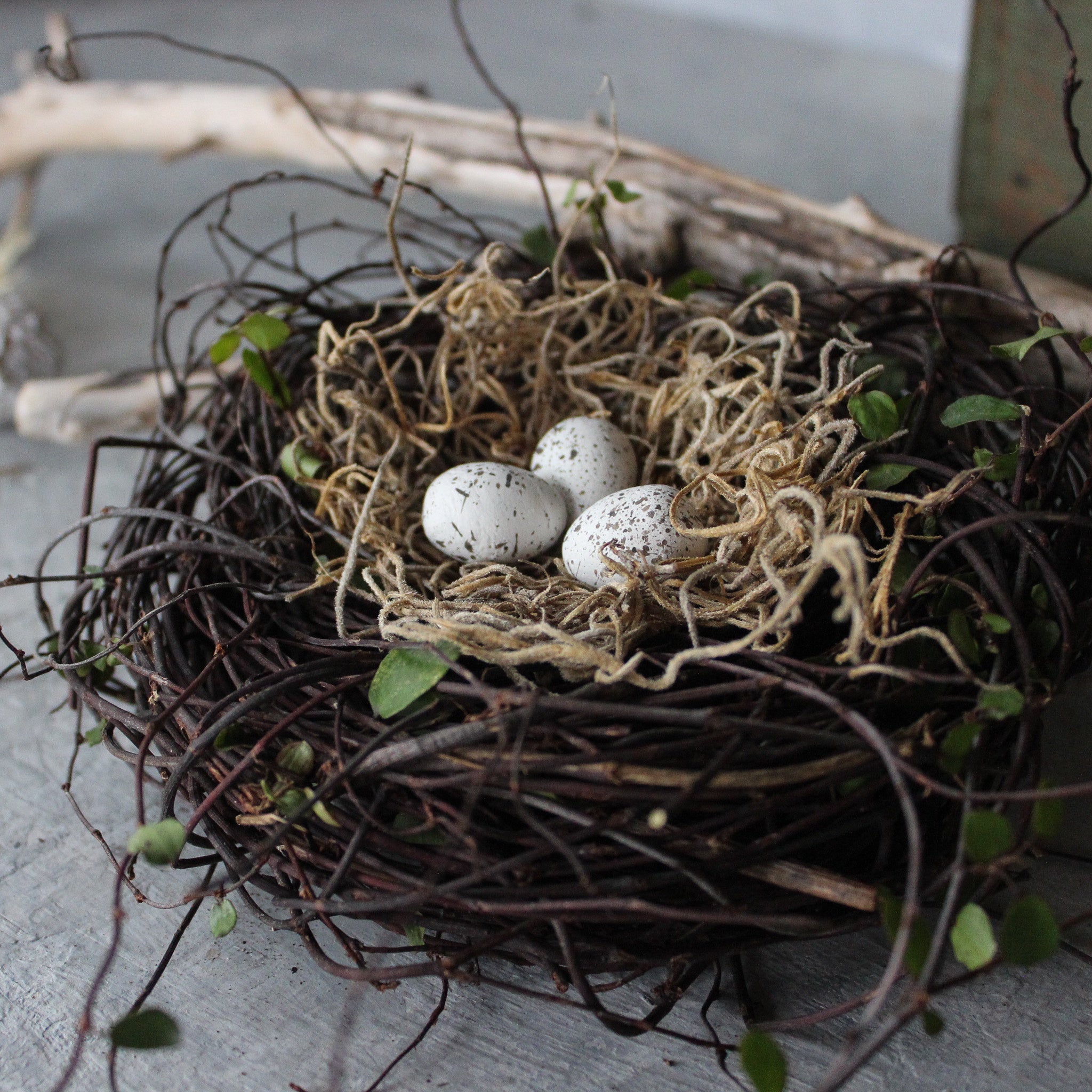 Little Nests & Eggs - Tribe Castlemaine