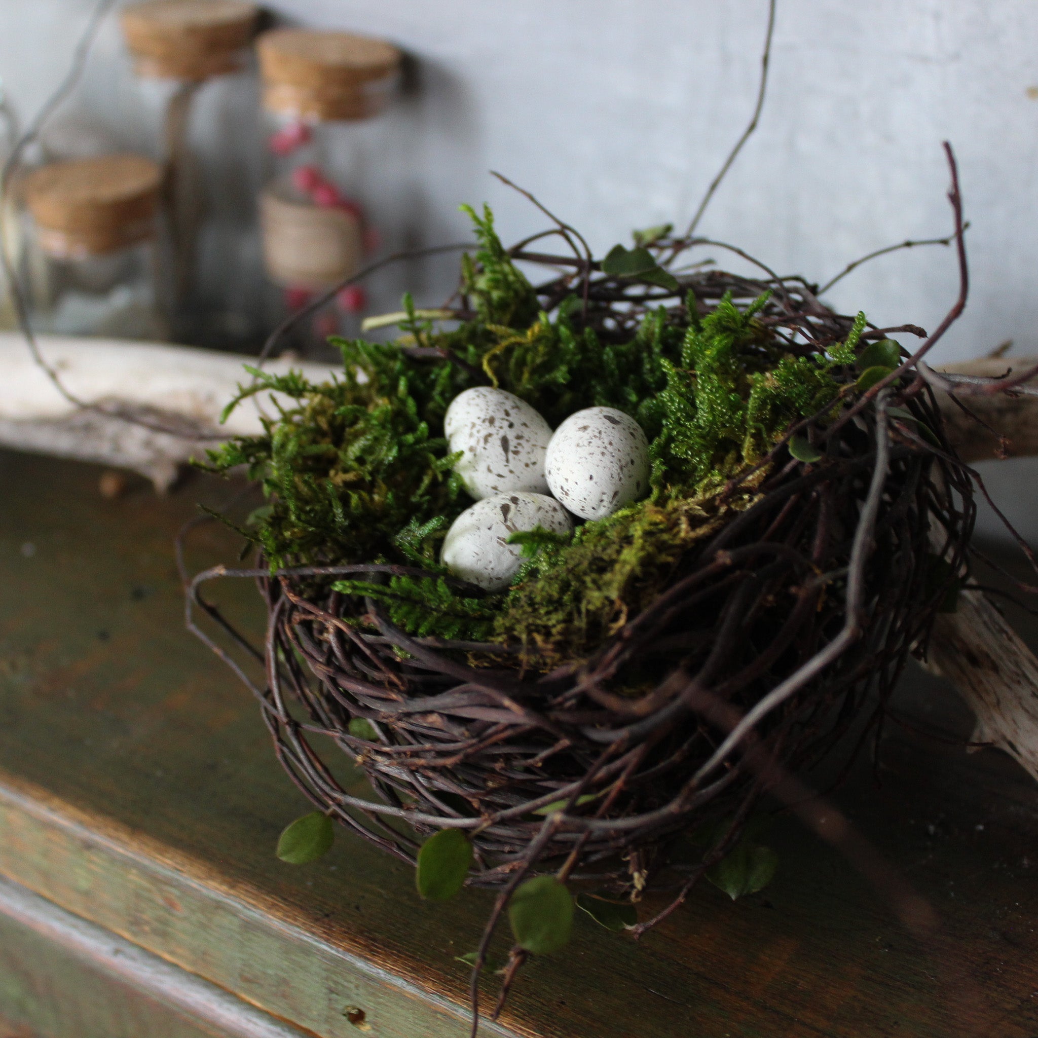 Little Nests & Eggs - Tribe Castlemaine