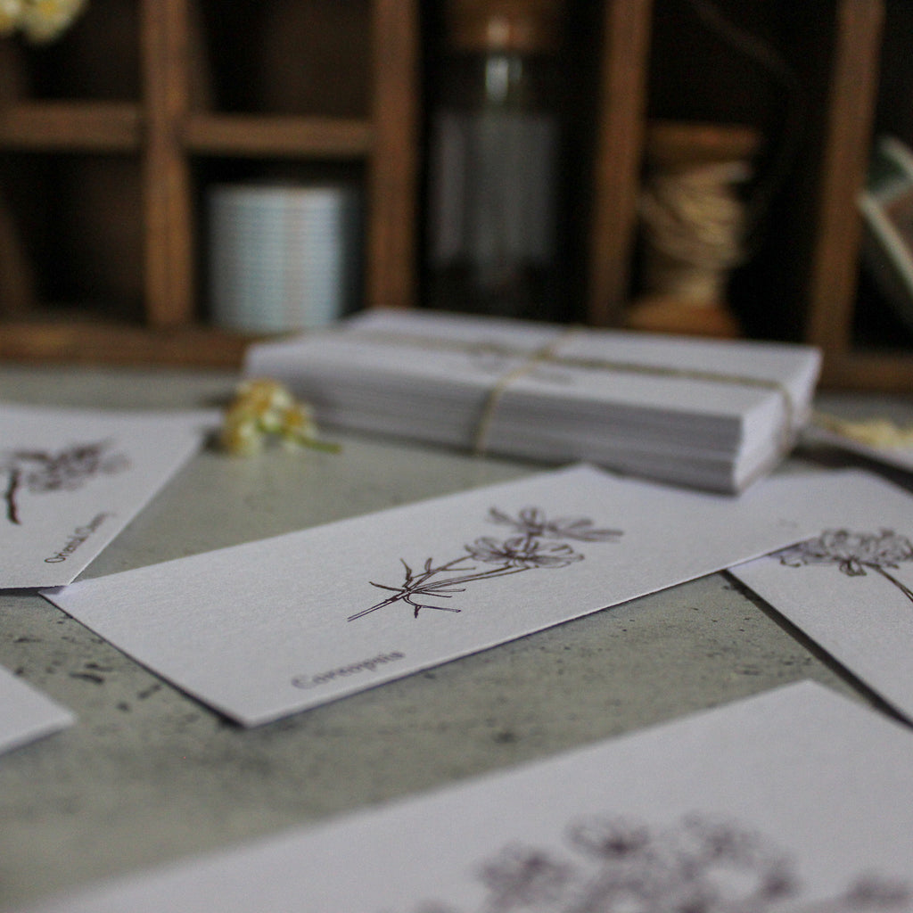 Little Notecard Set : Flowers - Tribe Castlemaine