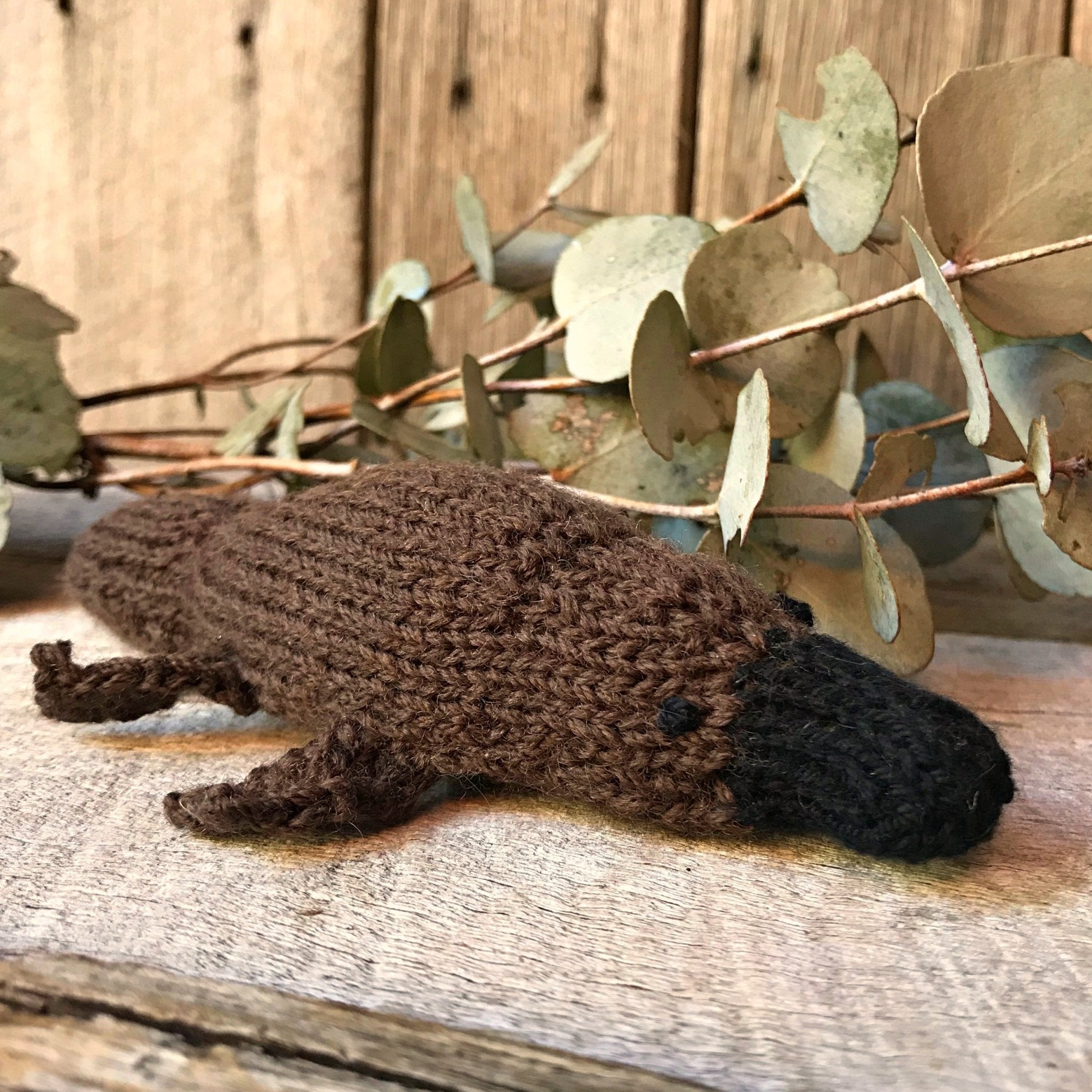 Little Platypus Knitting Pattern - Tribe Castlemaine