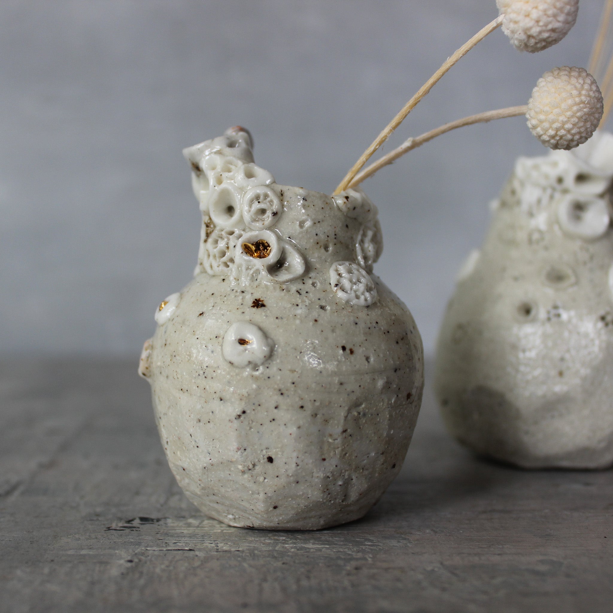 Little Rock Coral Vases - Tribe Castlemaine