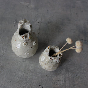 Little Rock Coral Vases - Tribe Castlemaine