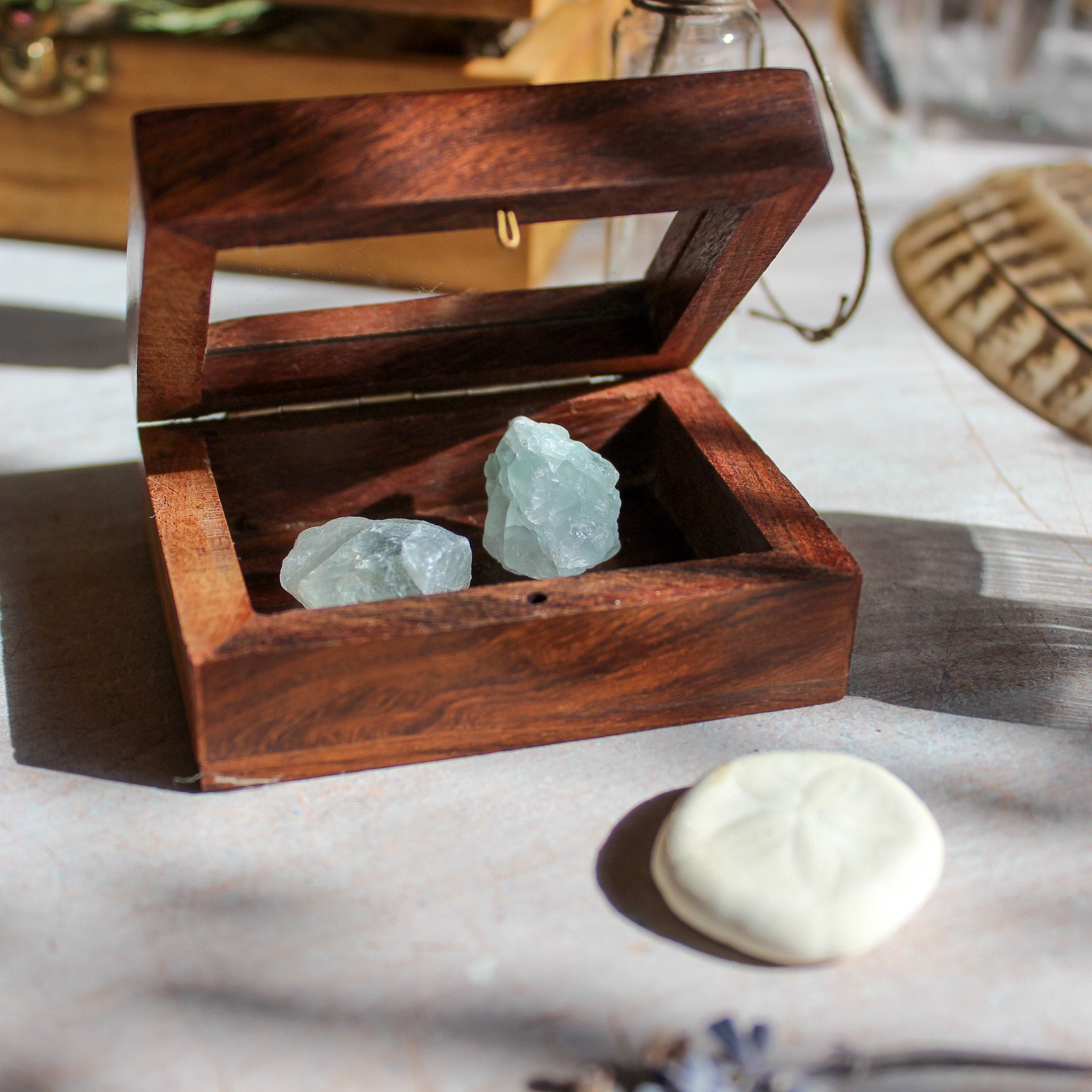 Little Wooden Display Box - Tribe Castlemaine