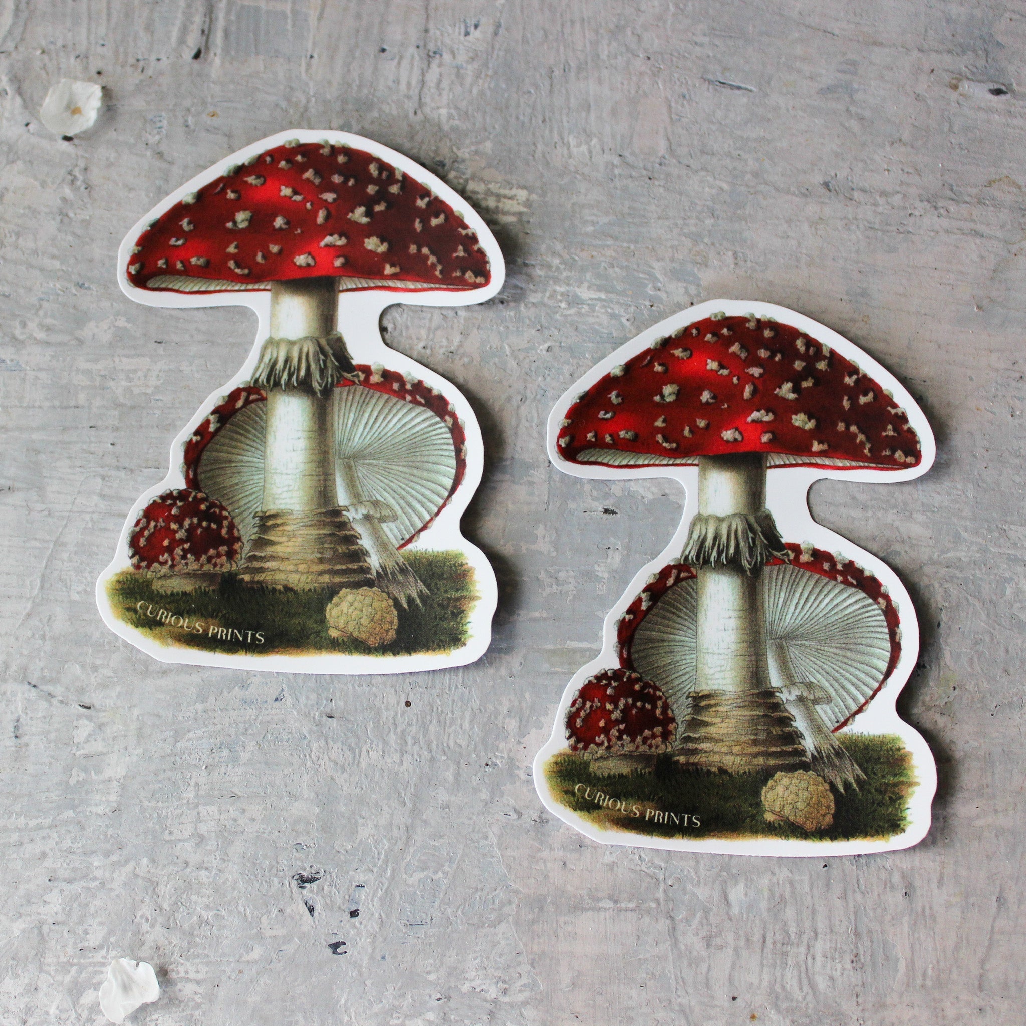 Magic Mushroom Sticker - Tribe Castlemaine