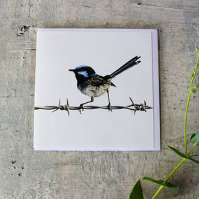 Matteo Grilli Card 'Superb Fairy Wren' - Tribe Castlemaine