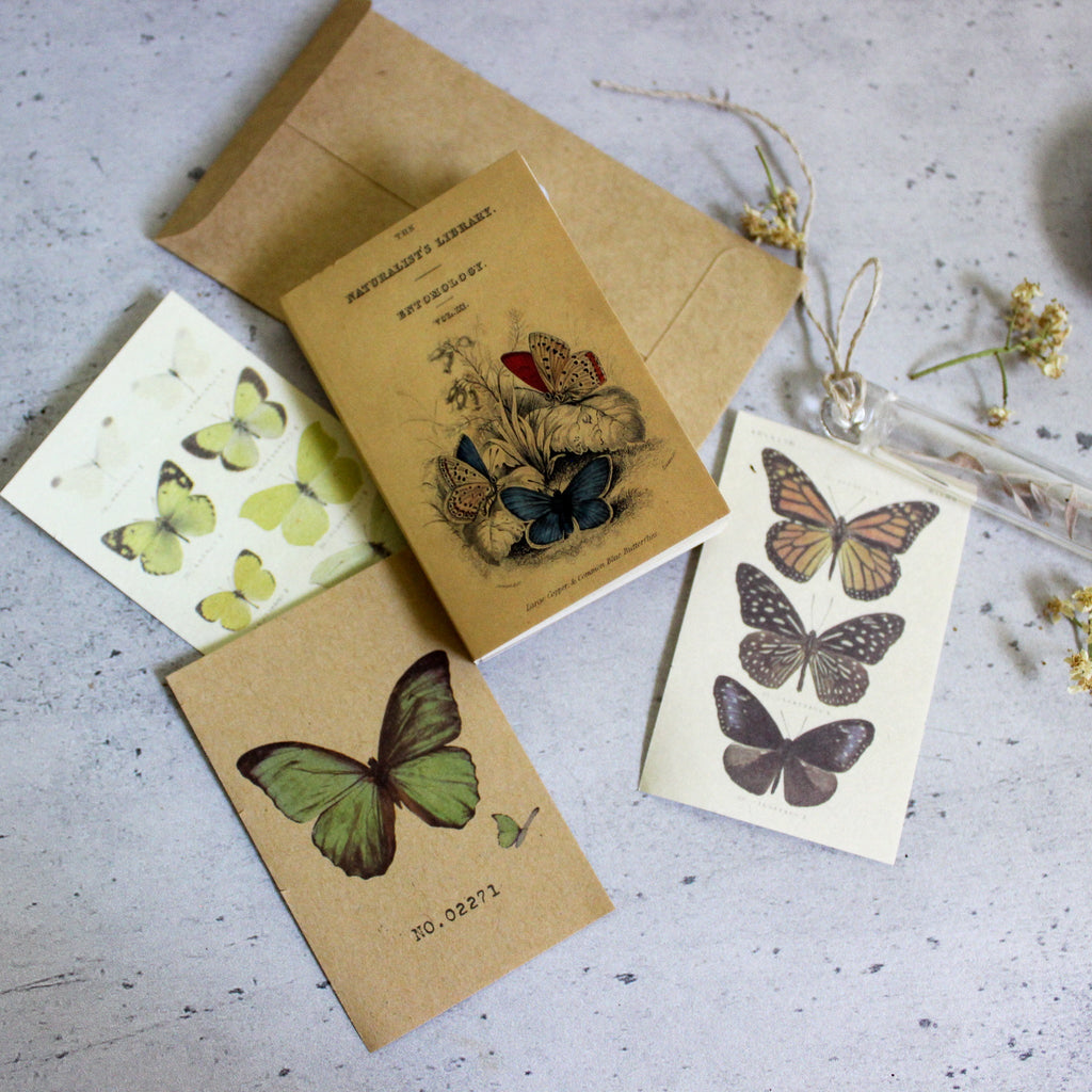 Mini Memo Book : Butterfly - Tribe Castlemaine