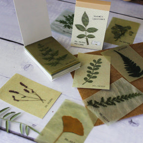 Mini Memo Pad : Botanical - Tribe Castlemaine