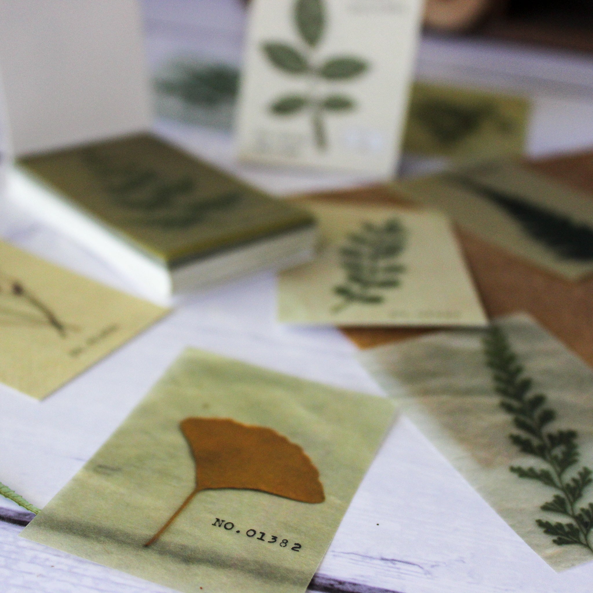 Mini Memo Pad : Botanical - Tribe Castlemaine