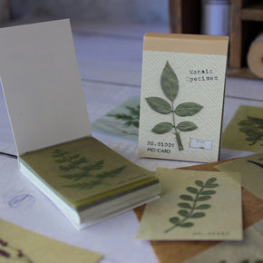 Mini Memo Pad : Botanical - Tribe Castlemaine