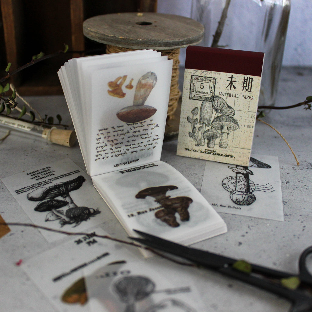 Mini Memo Pad : Toadstools - Tribe Castlemaine