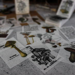 Mini Memo Pad : Toadstools - Tribe Castlemaine