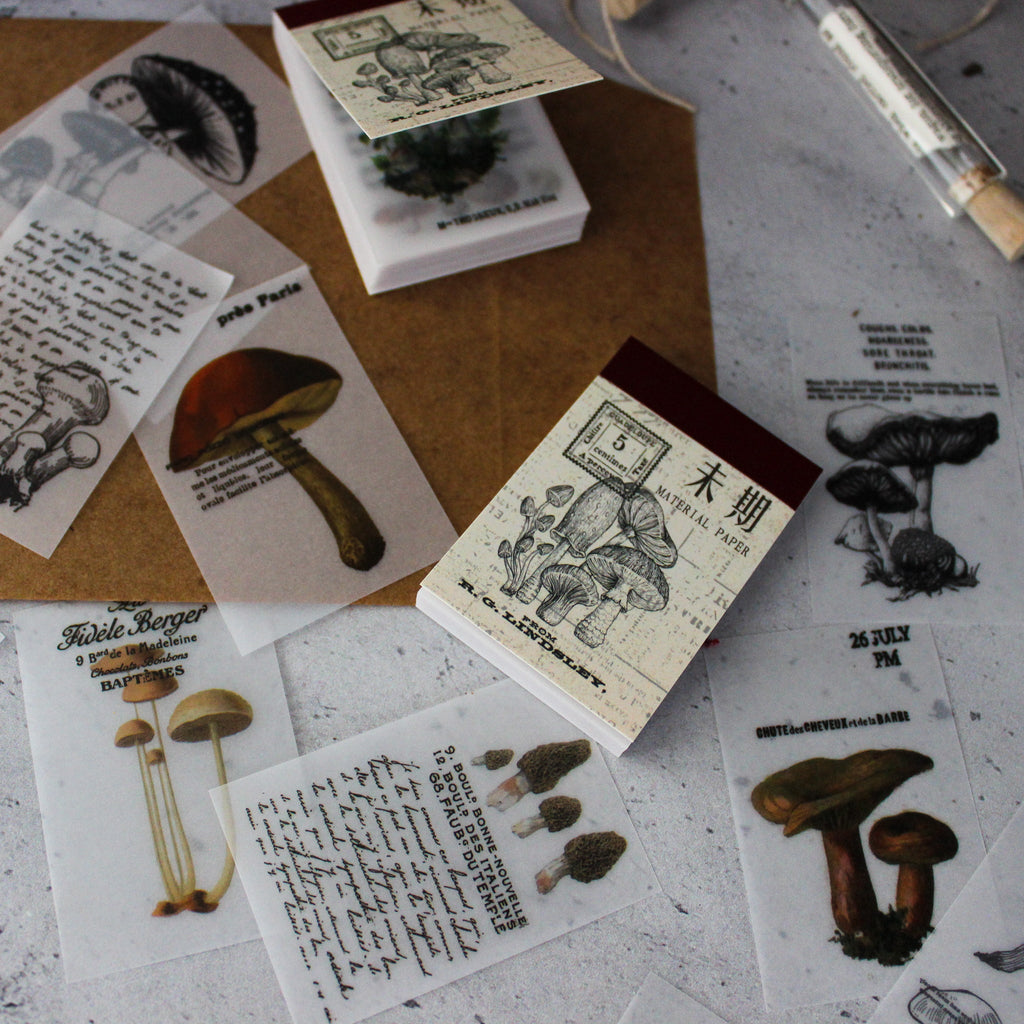 Mini Memo Pad : Toadstools - Tribe Castlemaine